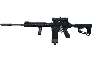 SR-25